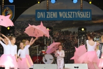 Urząd Miejski w Wolsztynie