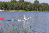 Urząd Miejski w Wolsztynie