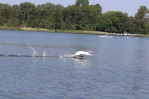 Urząd Miejski w Wolsztynie