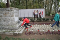 Urzd Miejski w Wolsztynie