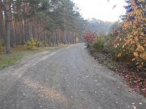 Urząd Miejski w Wolsztynie