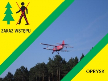 Urzd Miejski w Wolsztynie