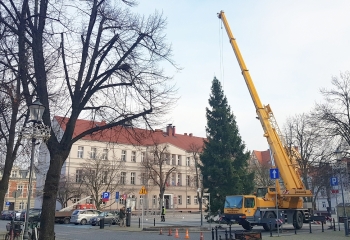 Urzd Miejski w Wolsztynie